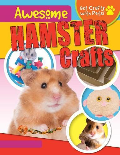 Awesome Hamster Crafts