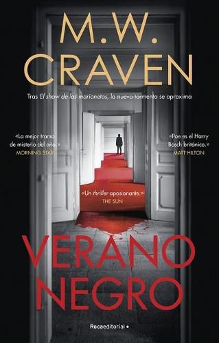 Cover image for Verano negro / Black Summer