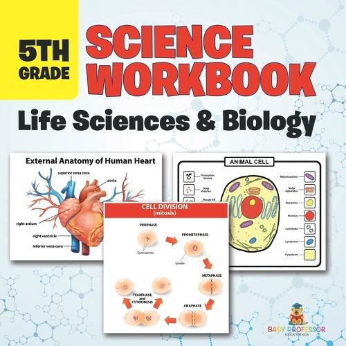 Cover image for 5th Grade Science Workbook