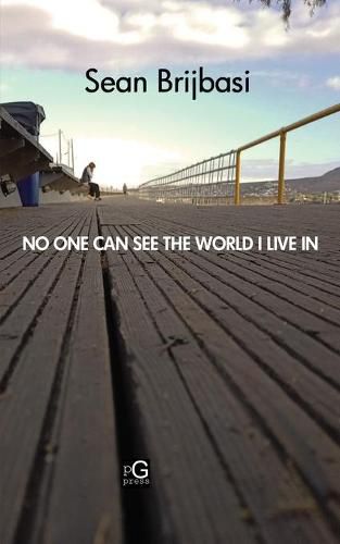 Cover image for No One Can See the World I Live in