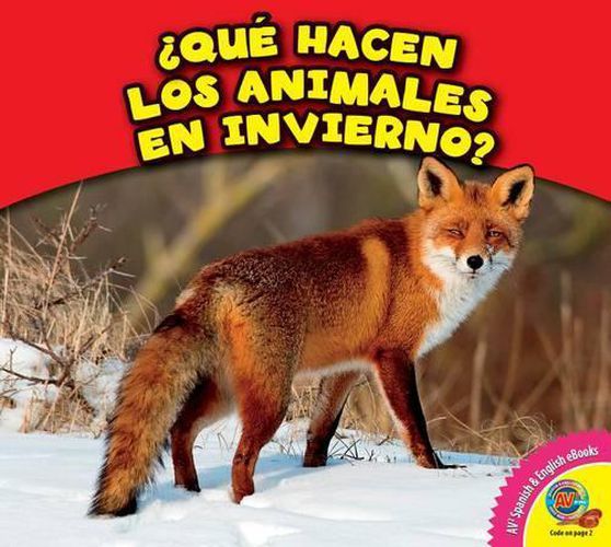 Que Hacen Los Animales En Invierno?