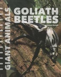 Cover image for Goliath Beetles