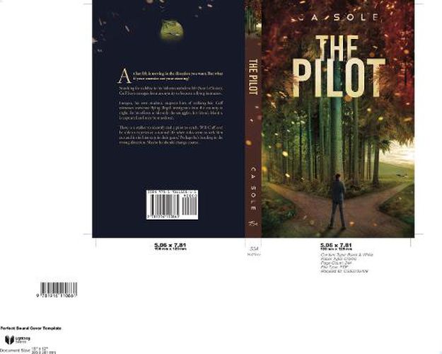 Cover image for The Pilot: His student pilot is being stalked, and she thinks it's him. Someone is smuggling immigrants, and Scott himself is being hunted.