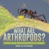 Cover image for What are Arthropods? Functions, Groups, Roles and Characteristics of Arthropods Grade 6-8 Life Science