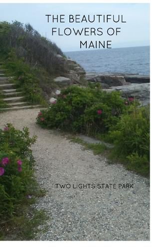 Cover image for The Beautiful Flowers of Maine