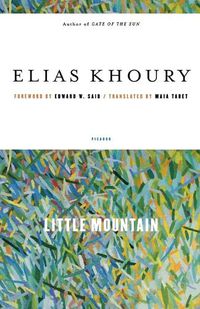 Cover image for Little Mountain