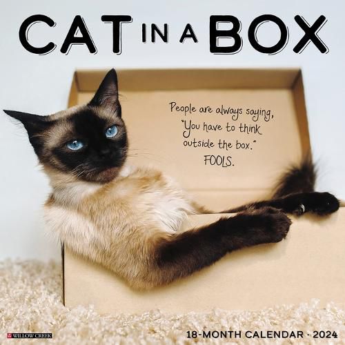 Cover image for Cat in a Box 2024 12 X 12 Wall Calendar