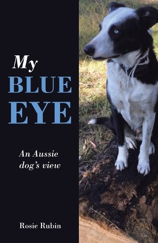 Cover image for My Blue Eye