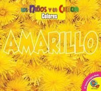 Cover image for Amarillo