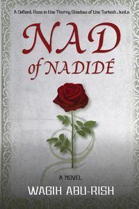 Cover image for Nad of Nadide?