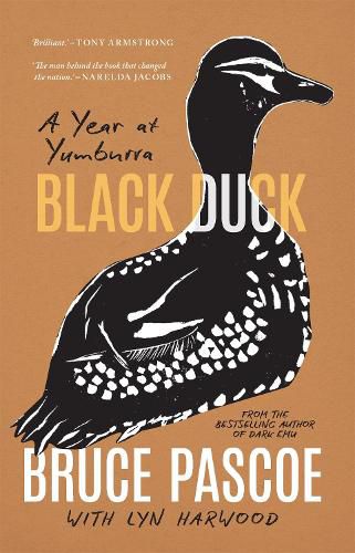Cover image for Black Duck: A Year at Yumburra