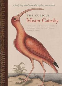 Cover image for The Curious Mister Catesby: A   Truly Ingenious   Naturalist Explores New Worlds