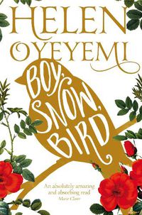 Cover image for Boy, Snow, Bird