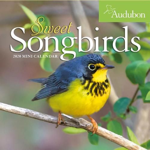 2020 Audubon Sweet Songbirds Mini Wall Calendar