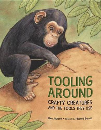 Tooling Around: Crafty Creatures and the Tools They Use