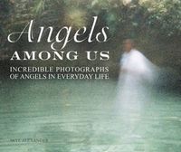 Cover image for The Angels Among Us: Incredible Photographs of Angels in Everyday Life