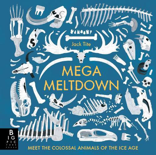 Cover image for Mega Meltdown