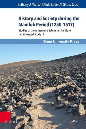 Cover image for History and Society during the Mamluk Period (1250-1517): Studies of the Annemarie Schimmel Institute for Advanced Study III