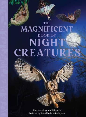 Cover image for The Magnificent Book of Night Creatures