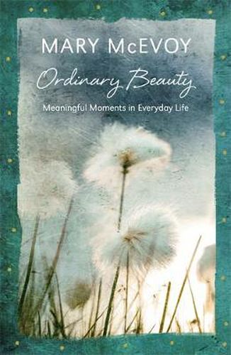 Cover image for Ordinary Beauty: Meaningful Moments in Everyday Life