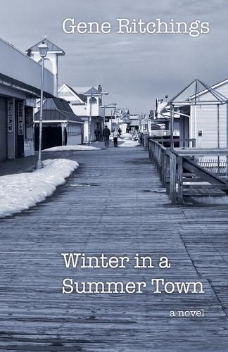 Cover image for Winter in a Summer Town
