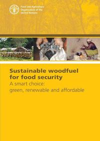 Cover image for Sustainable Woodfuel for Food Security: A Smart Choice: Green, Renewable and Affordable