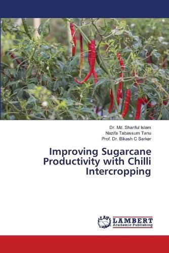 Cover image for Improving Sugarcane Productivity with Chilli Intercropping