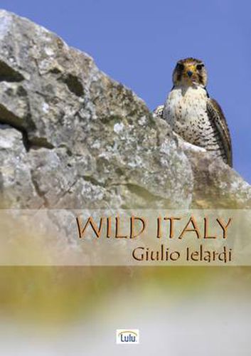 Cover image for Wild Italy