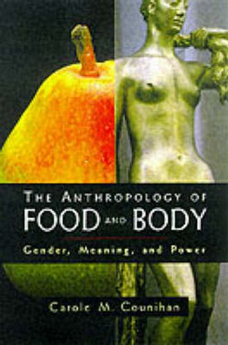 Cover image for The Anthropology of Food and Body: Gender, Meaning, and Power