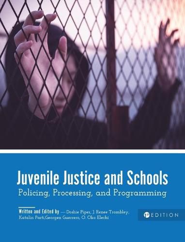 Cover image for Juvenile Justice and Schools: Policing, Processing, and Programming