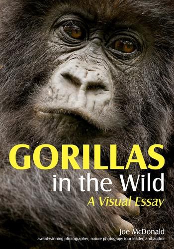 Cover image for Gorillas in the Wild: A Visual Essay