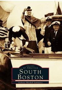 Cover image for South Boston