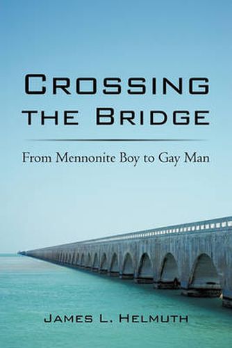 Cover image for Crossing the Bridge