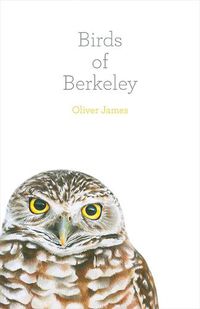Cover image for Birds of Berkeley