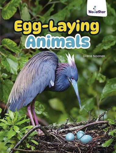 Cover image for Egg-Laying Animals