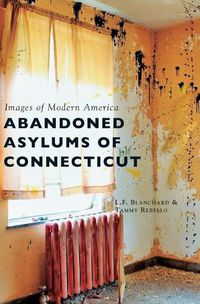 Cover image for Abandoned Asylums of Connecticut