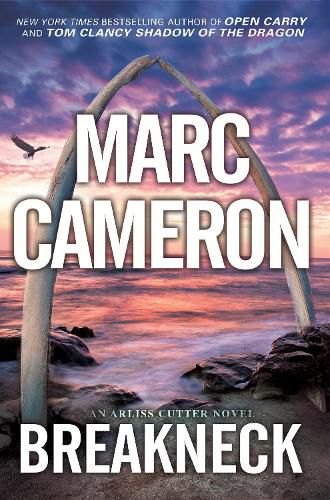 Cover image for Breakneck