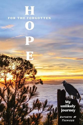 Cover image for Hope for the forgotten...My Unlikely Journey
