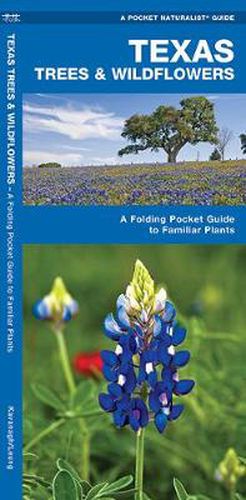 Texas Trees & Wildflowers: A Folding Pocket Guide to Familiar Species