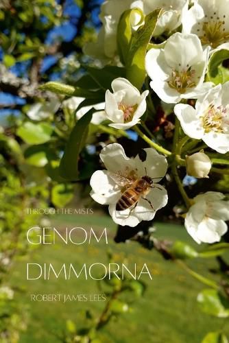 Cover image for Genom dimmorna - Stor text