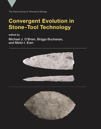 Cover image for Convergent Evolution in Stone-Tool Technology