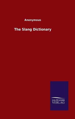 Cover image for The Slang Dictionary