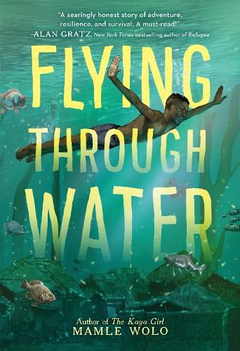 Cover image for Flying Through Water