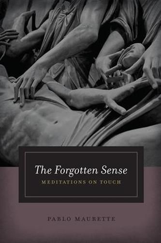 Cover image for The Forgotten Sense: Meditations on Touch