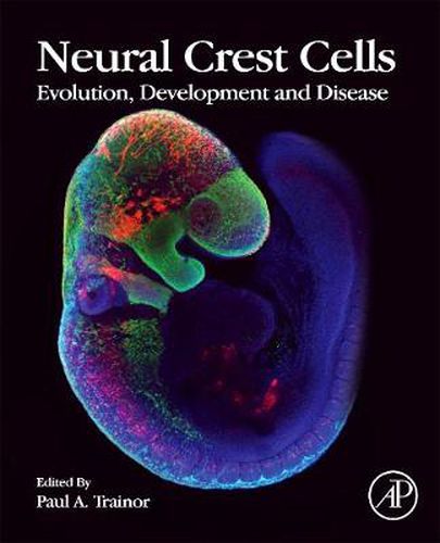 Cover image for Neural Crest Cells: Evolution, Development and Disease