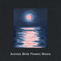 Cover image for Ann Craven: Animals, Birds, Flowers, Moons