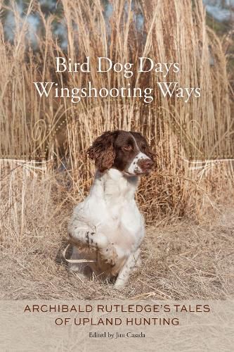 Cover image for Bird Dog Days, Wingshooting Ways: Archibald Rutledge's Tales of Upland  Hunting