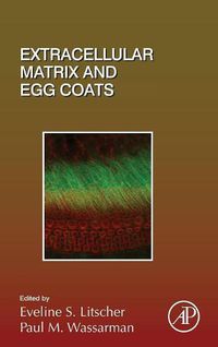 Cover image for Extracellular Matrix and Egg Coats