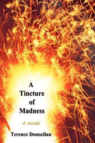 Cover image for A Tincture of Madness