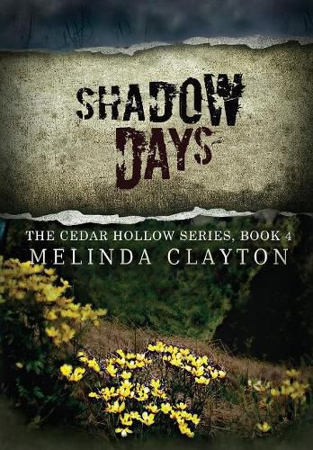 Cover image for Shadow Days